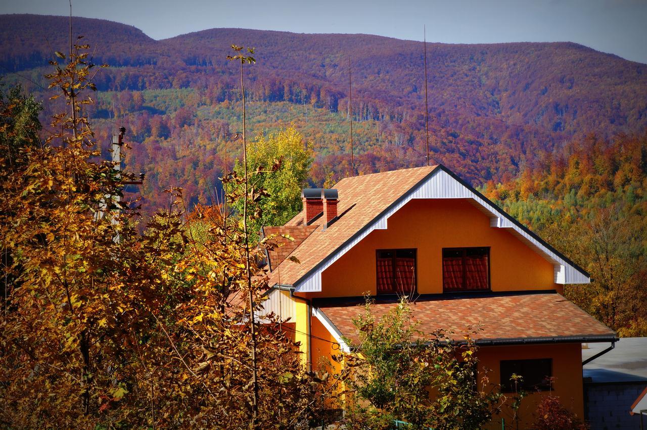 Maison d'hôtes Пори Року à Synyak Extérieur photo